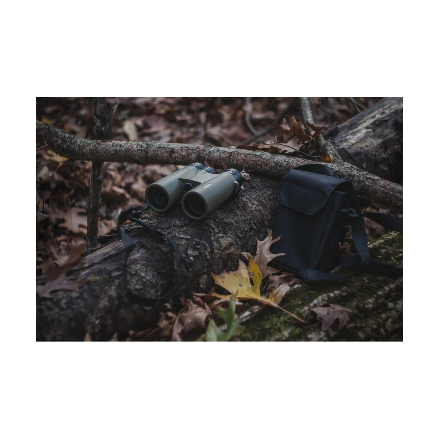 CenterPoint Optics 10x42 Binocular - Image 14